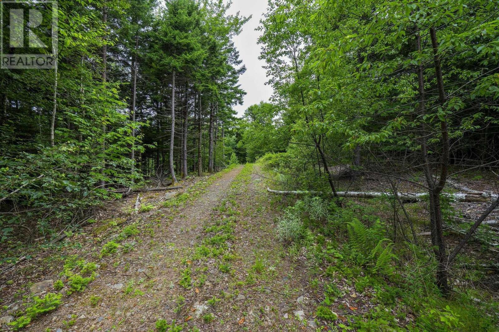 Lot 4 Highway 1 Property Photo 41