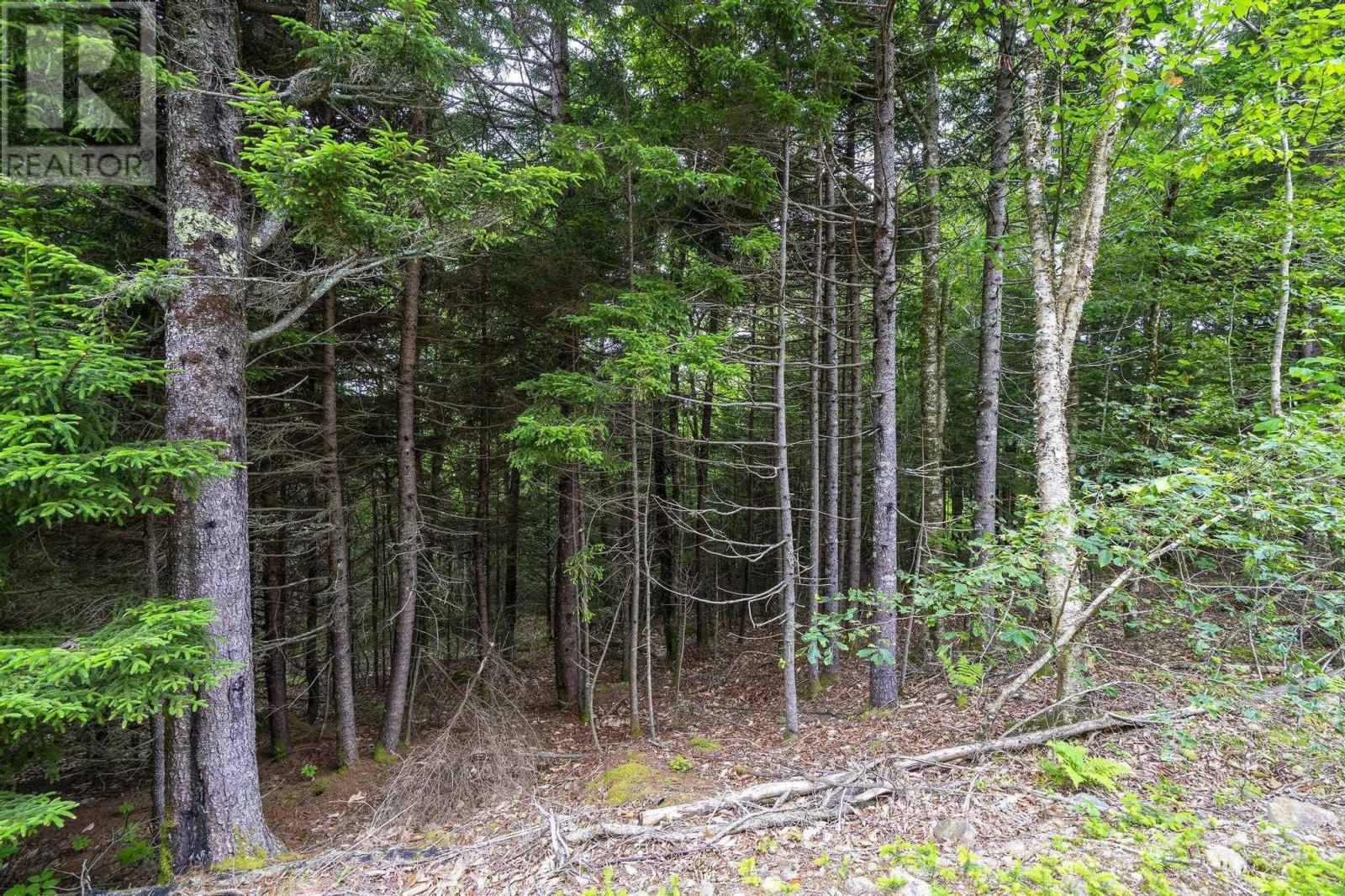 Lot 4 Highway 1 Property Photo 42