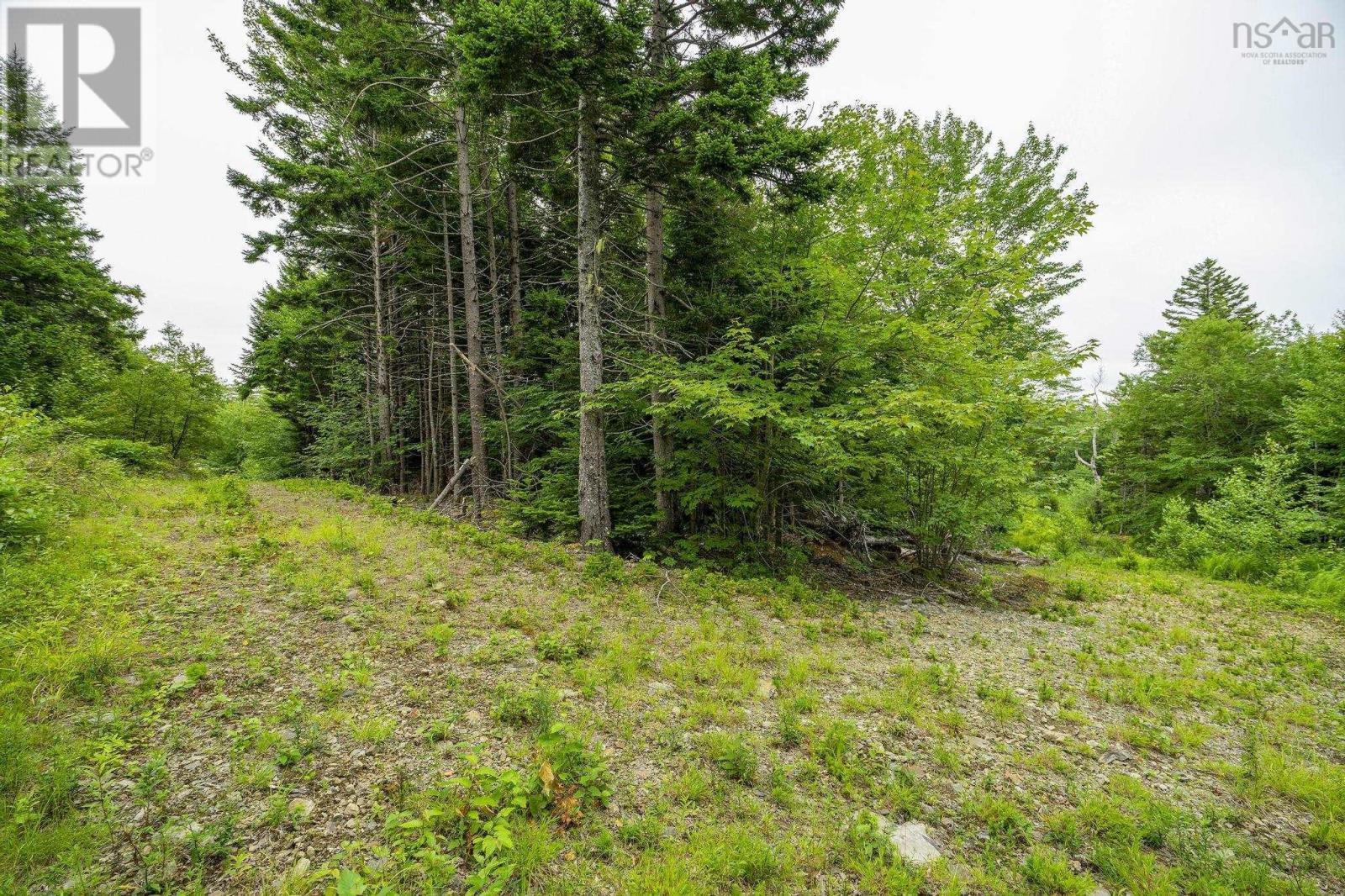 Lot 4 Highway 1 Property Photo 43