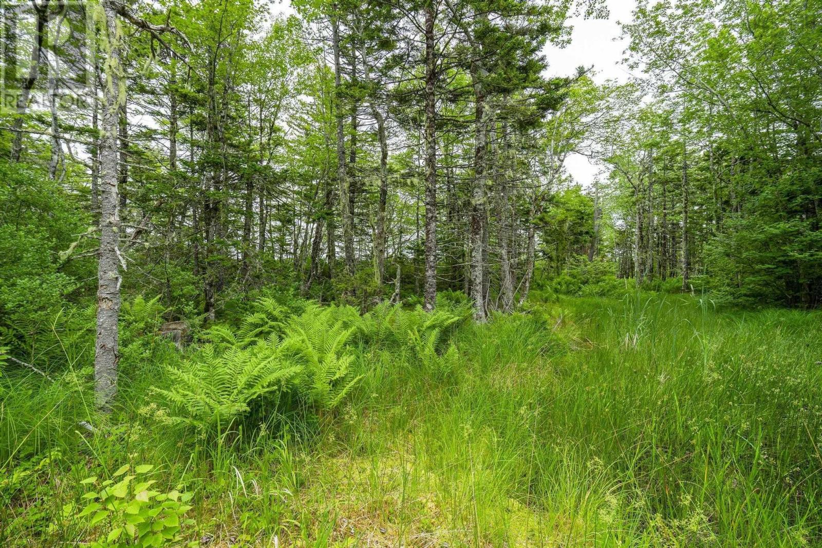 Lot 4 Highway 1 Property Photo 44