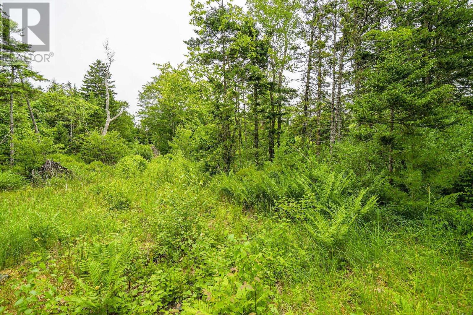 Lot 4 Highway 1 Property Photo 45