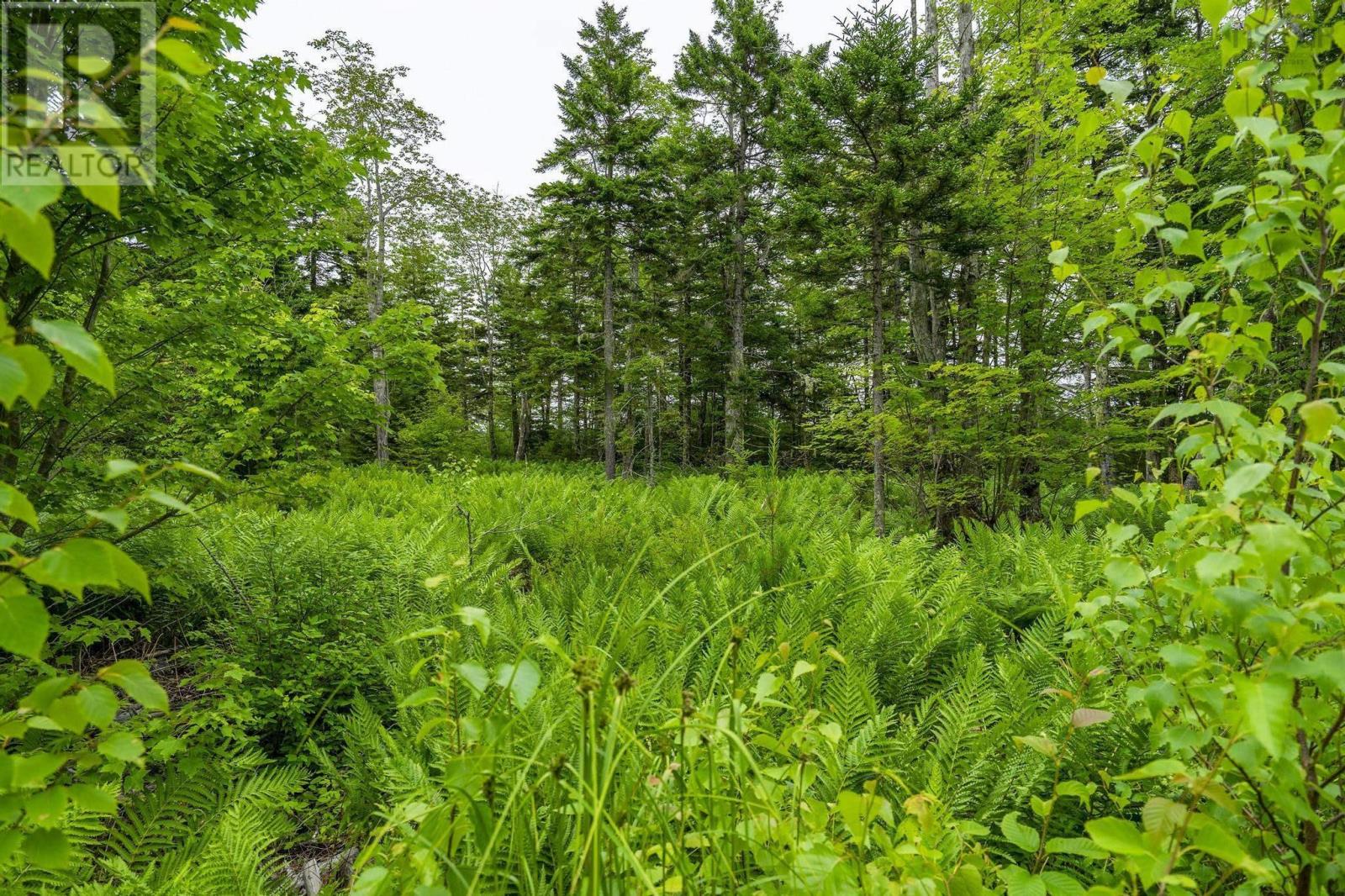 Lot 4 Highway 1 Property Photo 46