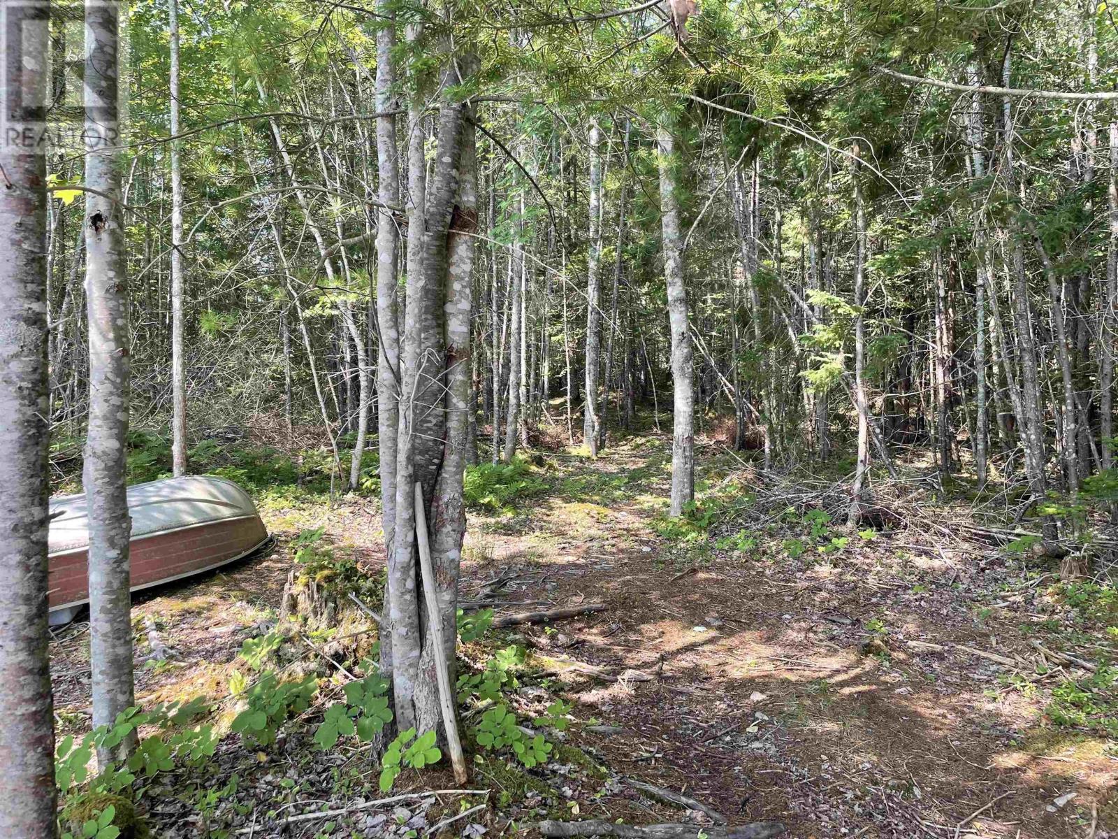 2420 Marble Mountain Road Property Photo 4