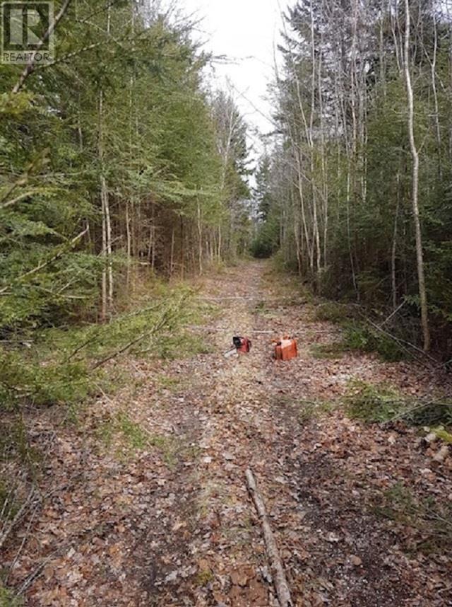 Lots Old North Range Road Property Photo 3