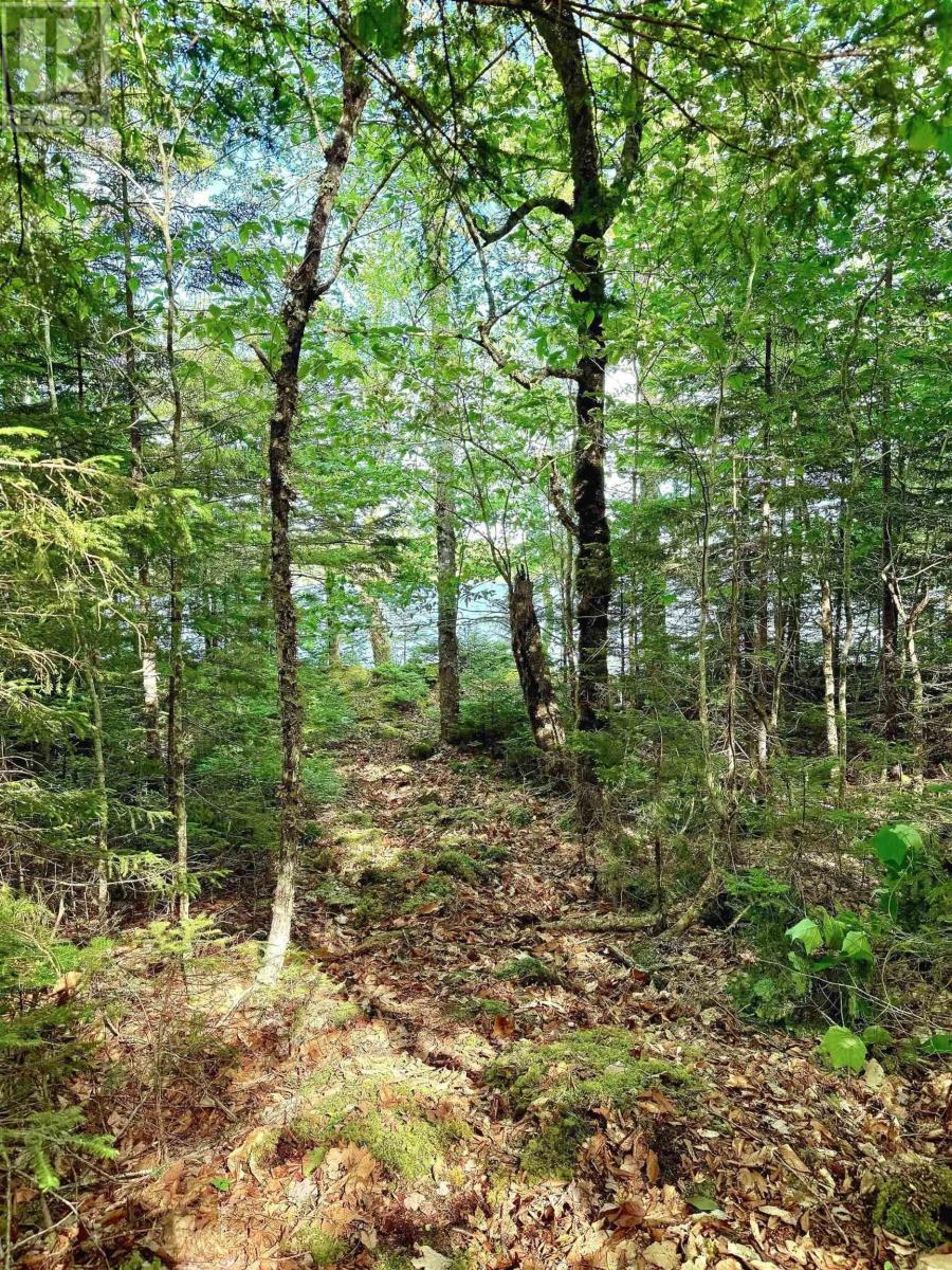 Lot 40 Cliff Road Property Photo 5