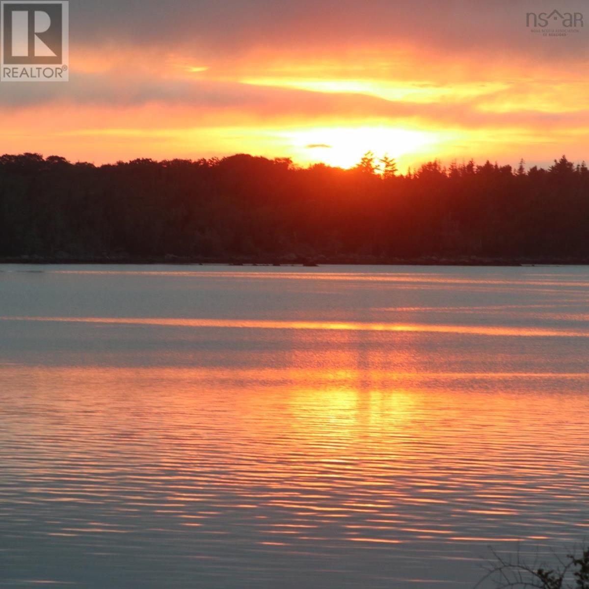 46 Roxbury Road Property Photo 50