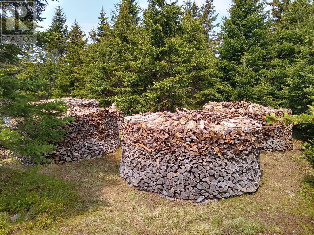 290 Eastside Grand River Property Photo 37