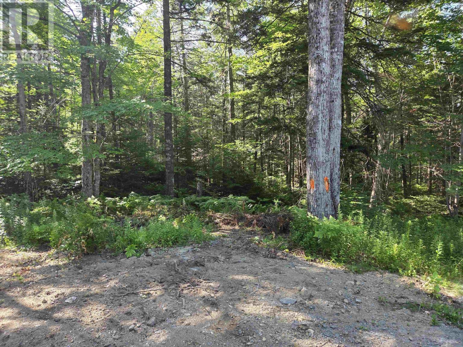 48 Lake Mulgrave Road Property Photo 7