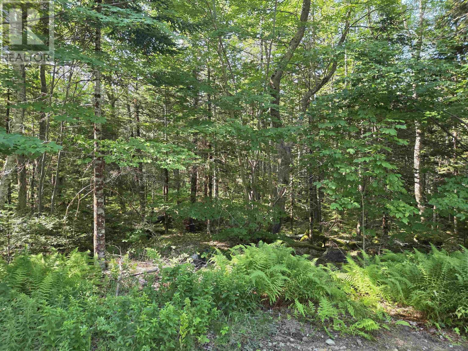 48 Lake Mulgrave Road Property Photo 9