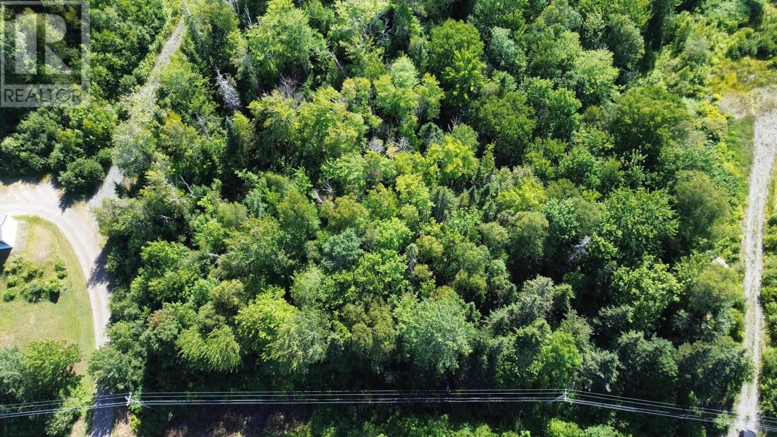 Highway 245 Property Photo 11