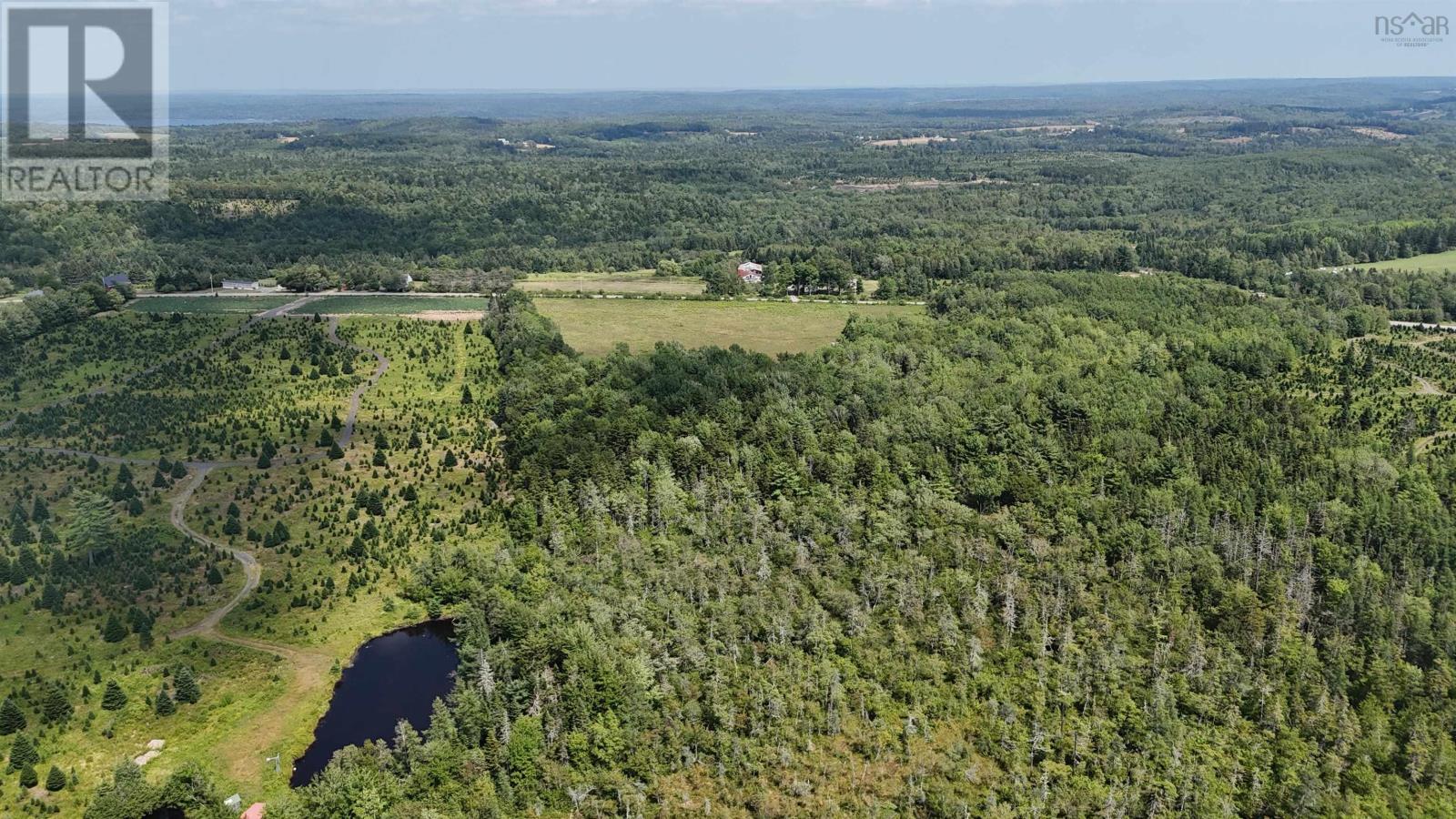 1335 Farmington Road Property Photo 5