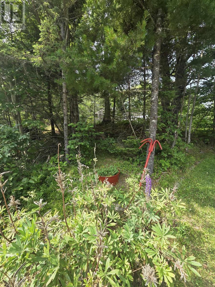 Highway 103 Property Photo 2