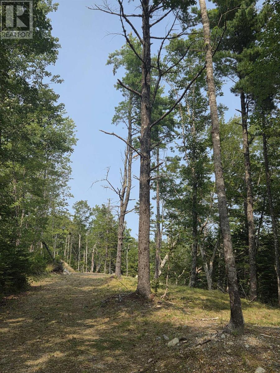 Highway 103 Property Photo 5