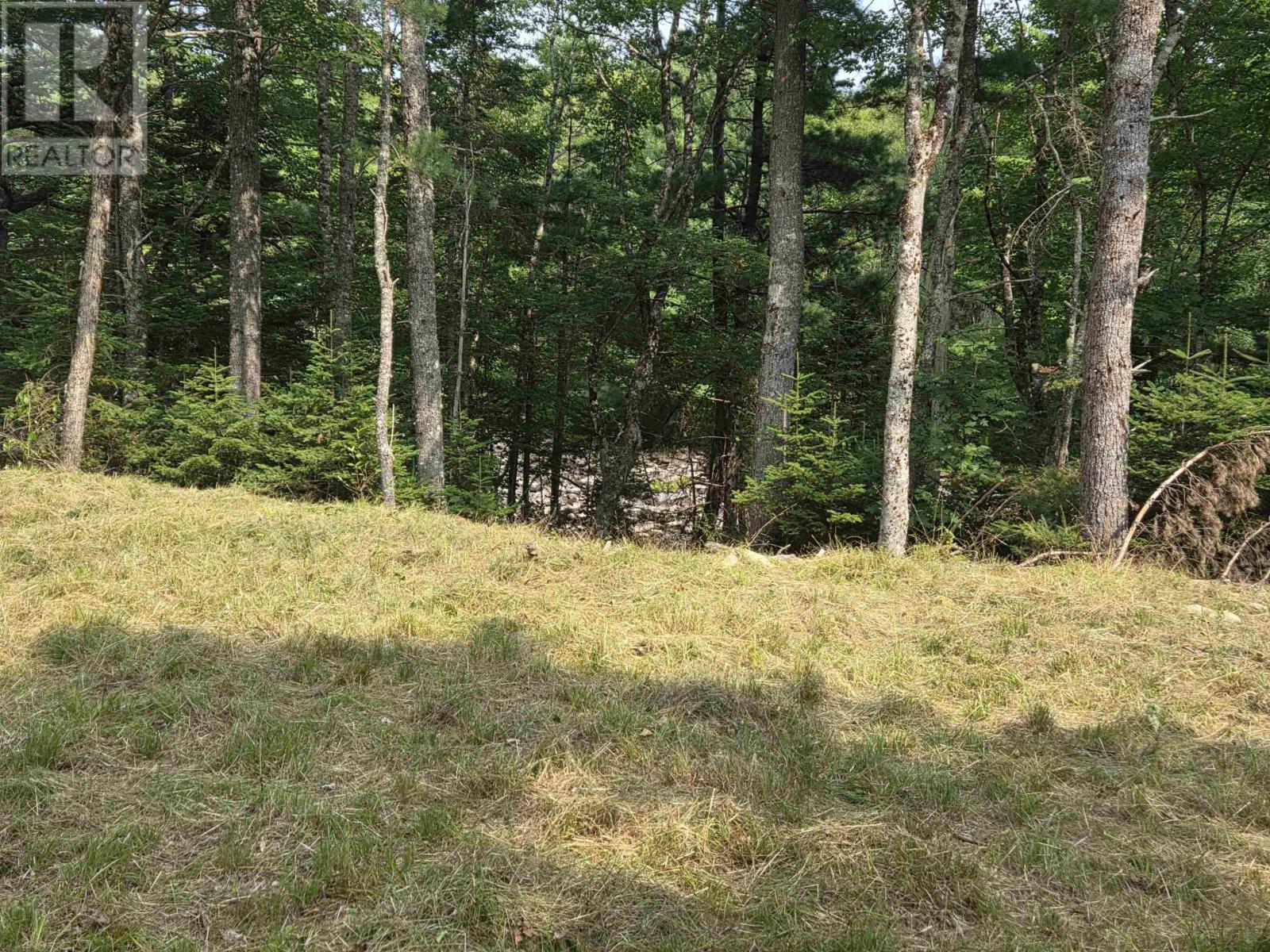 Highway 103 Property Photo 7