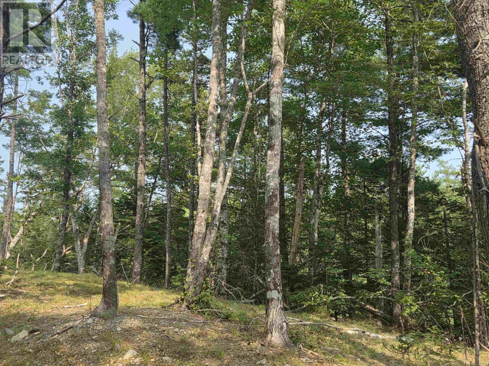 Highway 103 Property Photo 8