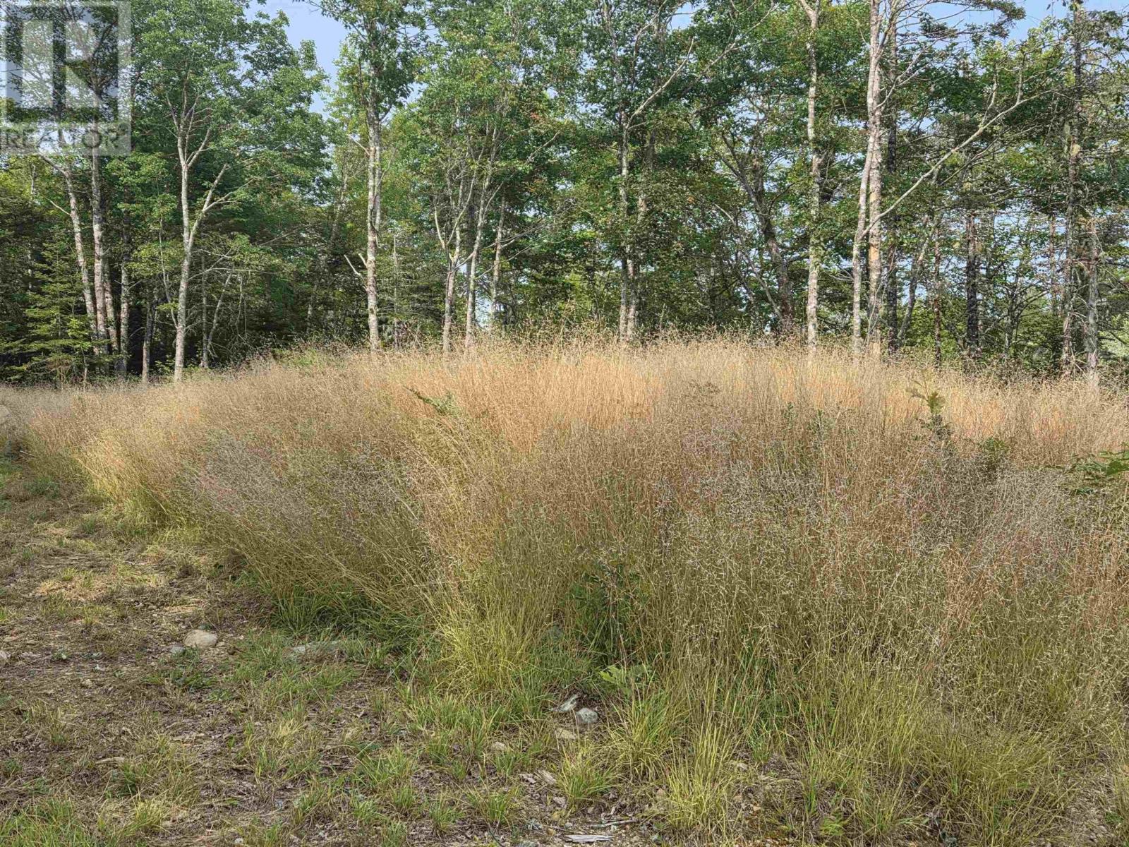 Highway 103 Property Photo 9