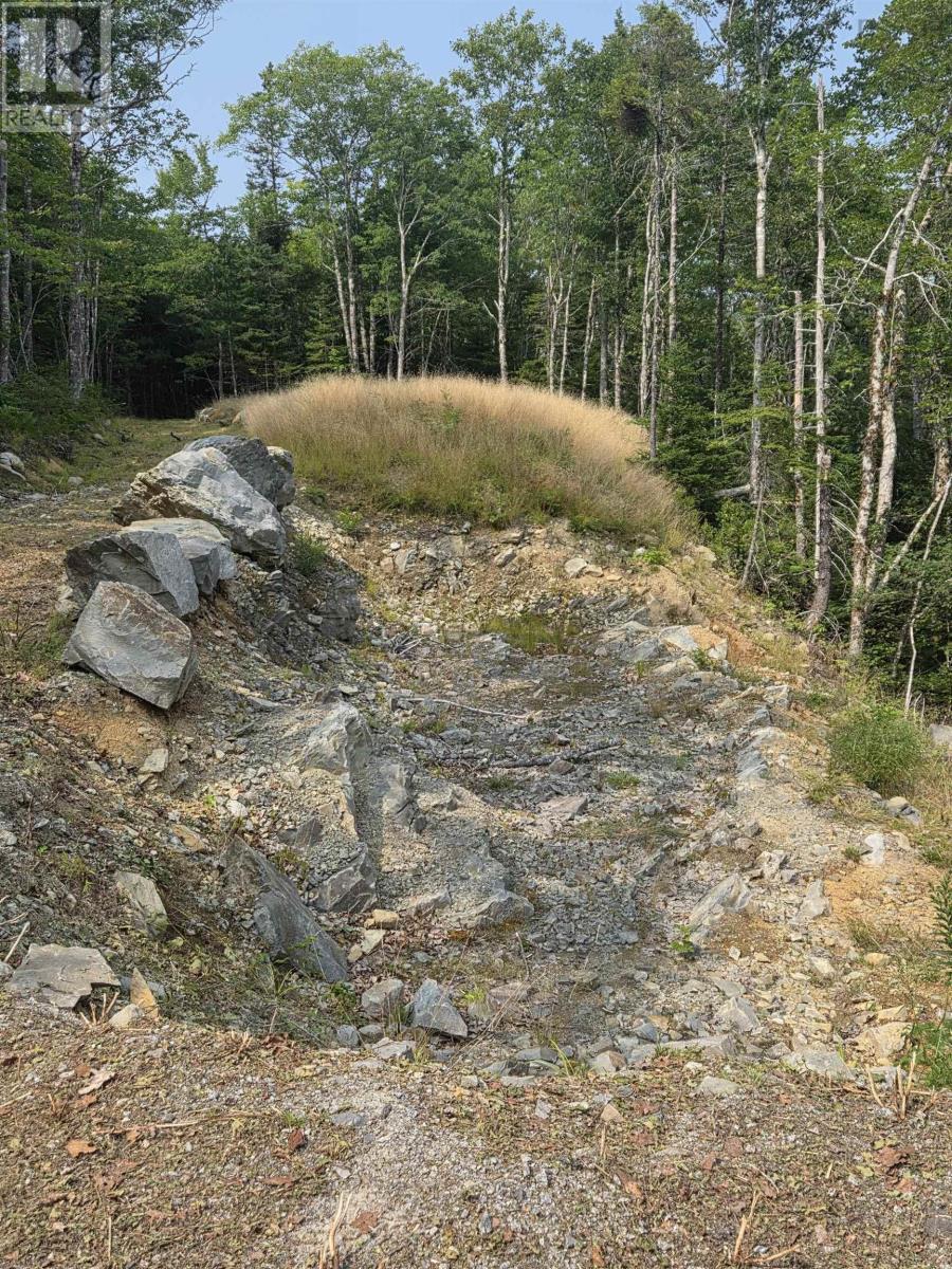 Highway 103 Property Photo 10