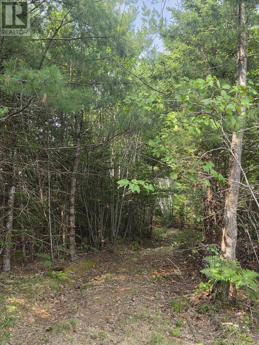 Highway 103 Property Photo 11