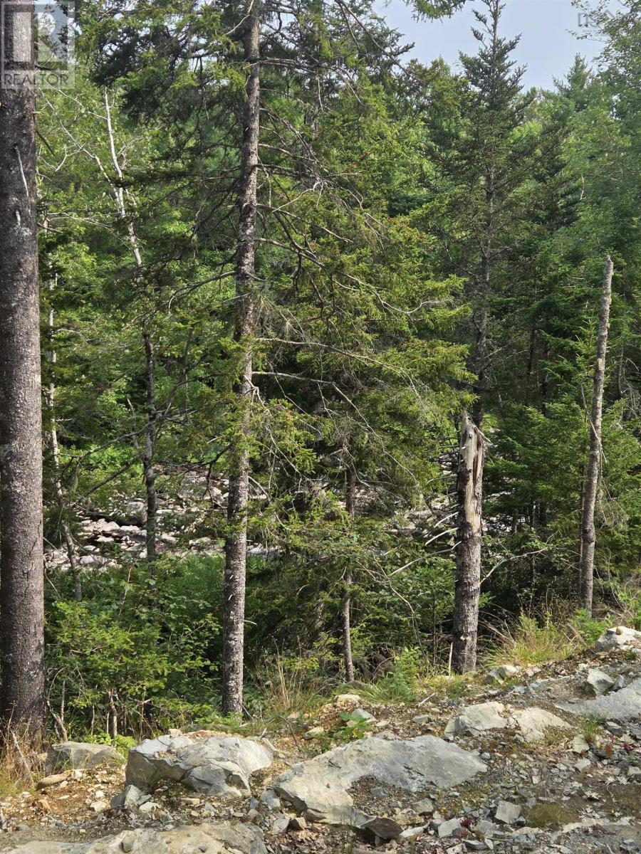 Highway 103 Property Photo 12
