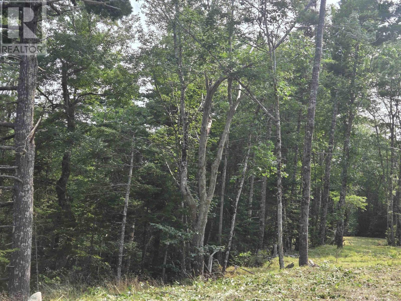 Highway 103 Property Photo 13