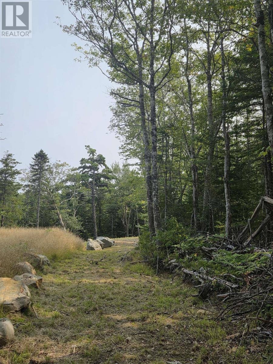 Highway 103 Property Photo 14