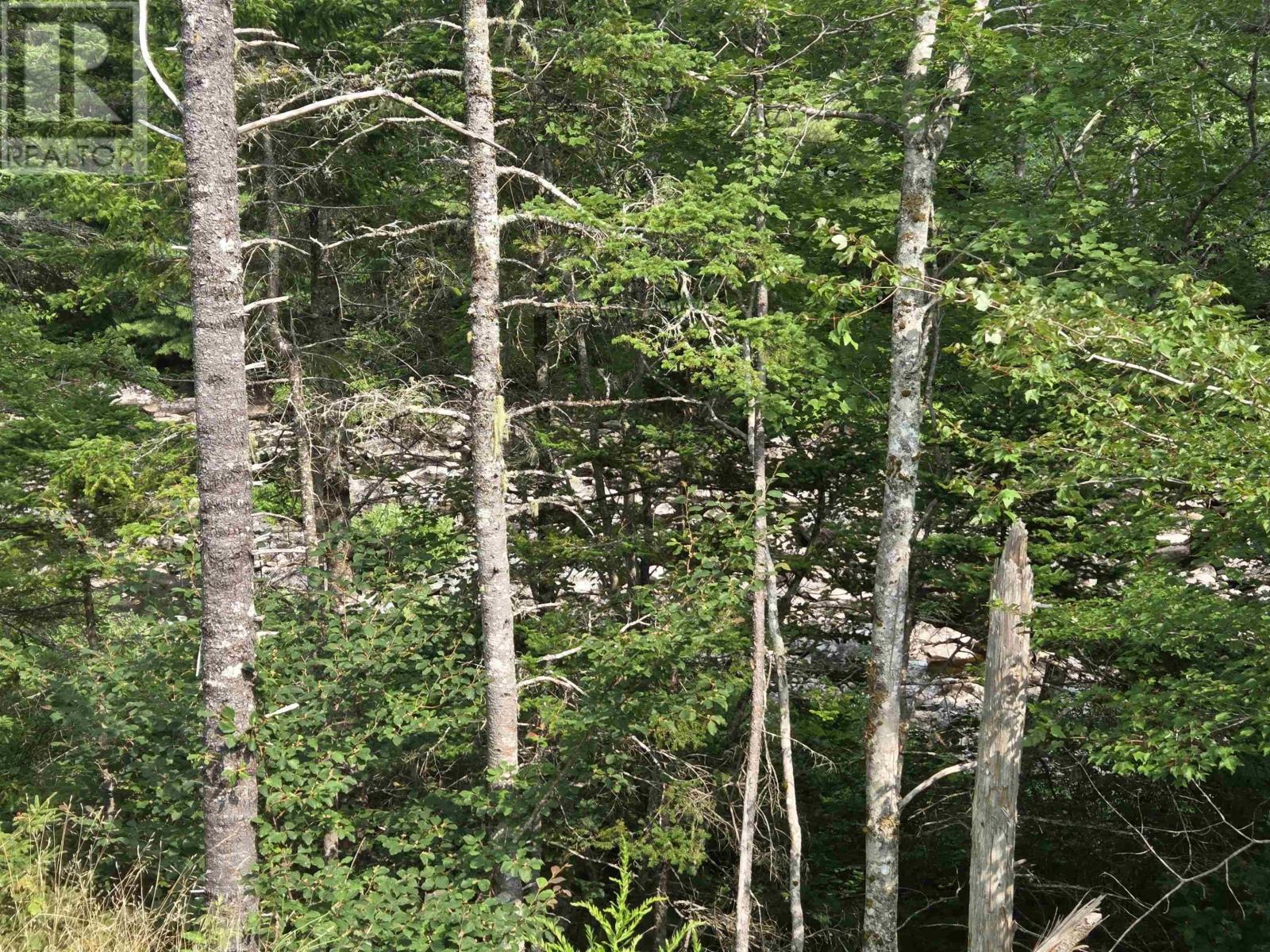 Highway 103 Property Photo 15