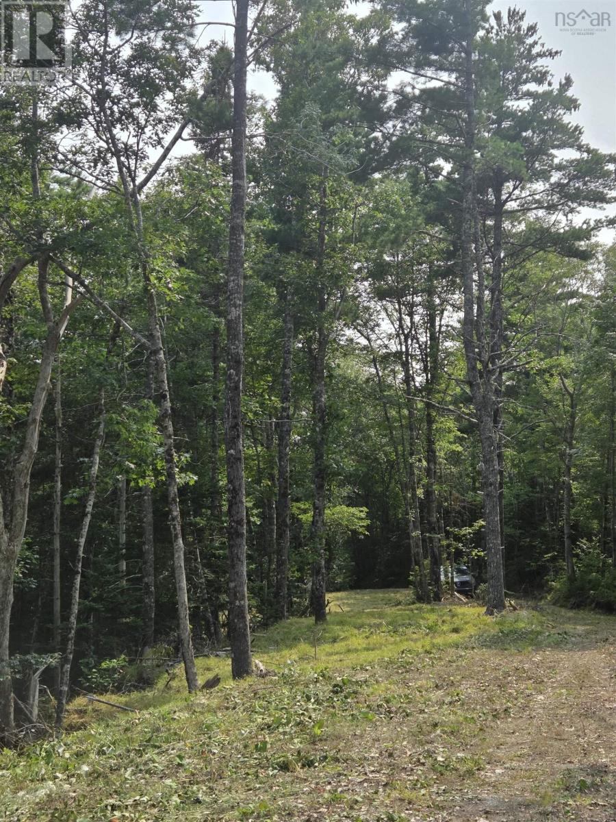 Highway 103 Property Photo 17