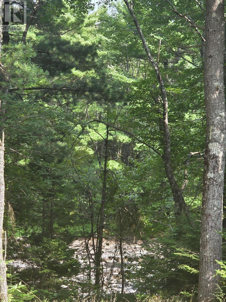 Highway 103 Property Photo 18