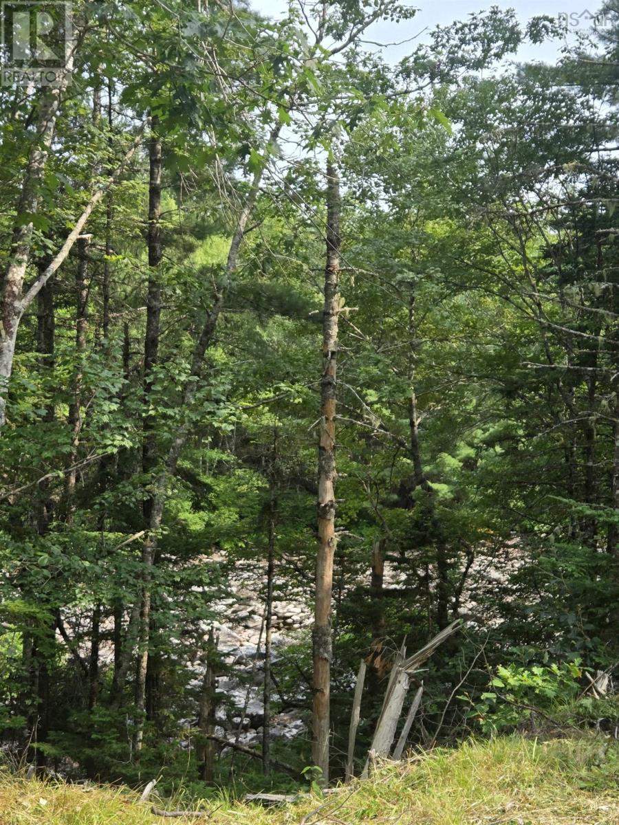 Highway 103 Property Photo 19