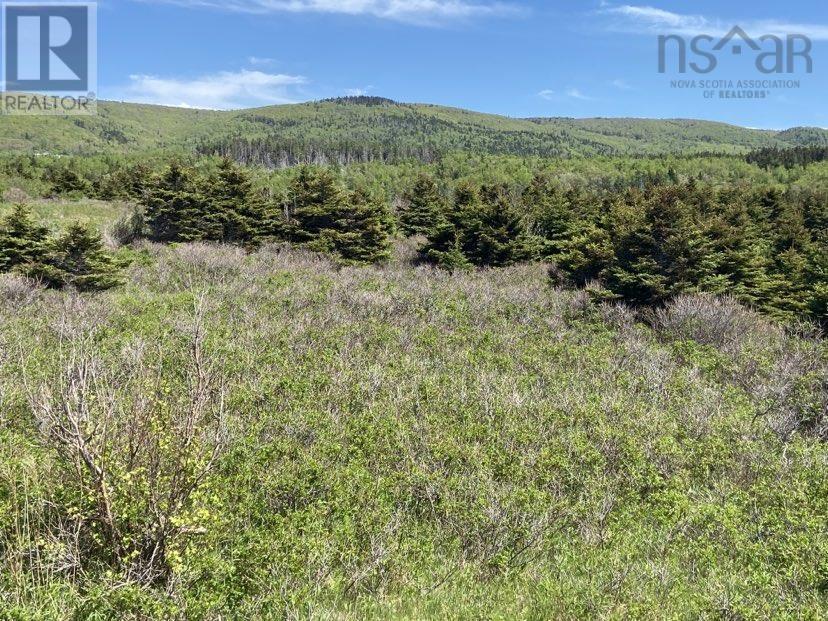 Cabot Trail Property Photo 1