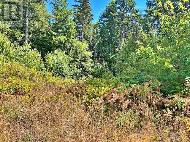 1235 Woodstock Road Property Photo 16