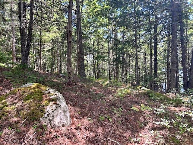 1235 Woodstock Road Property Photo 18