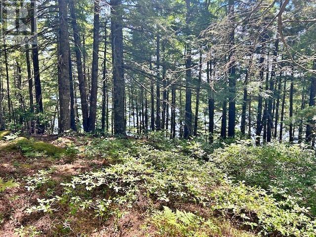 1235 Woodstock Road Property Photo 19