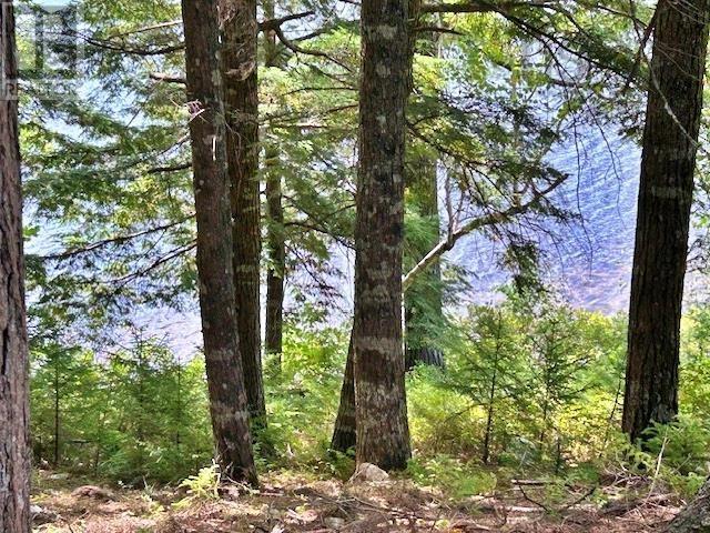 1235 Woodstock Road Property Photo 21