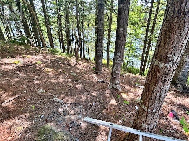 1235 Woodstock Road Property Photo 22