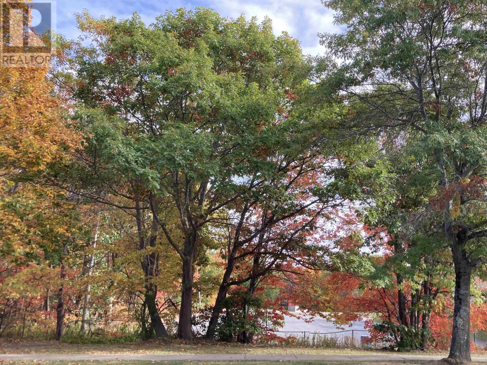 9 Monique Avenue Property Photo 38