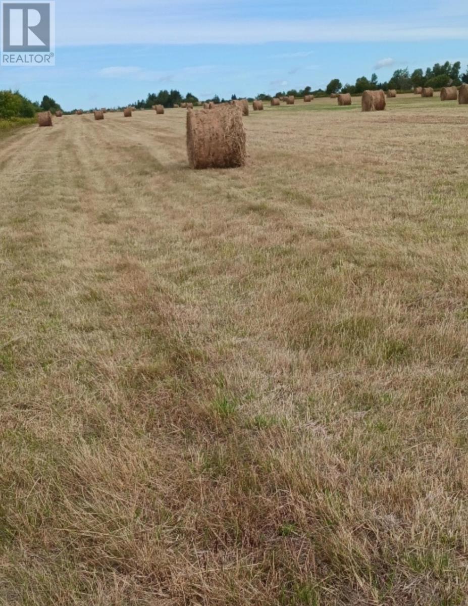 Acreage Cape Bear Road Property Photo 1