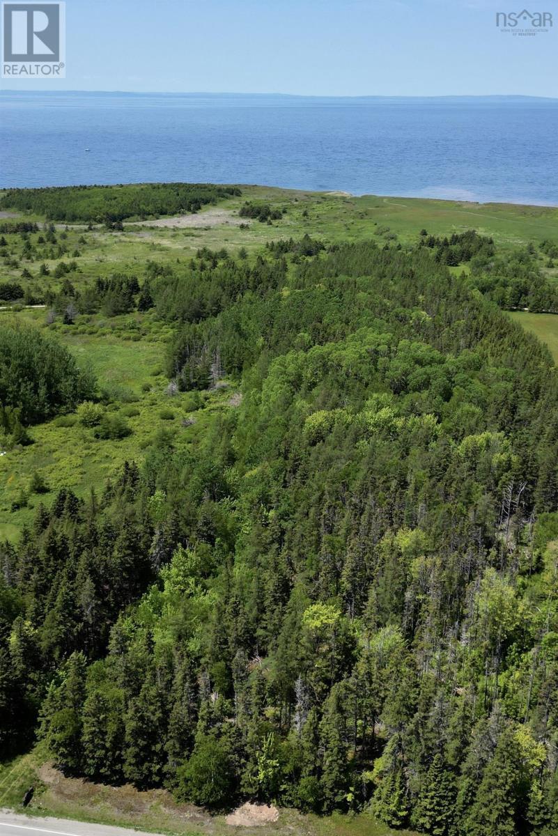 Acerage Highway 19 Property Photo 10