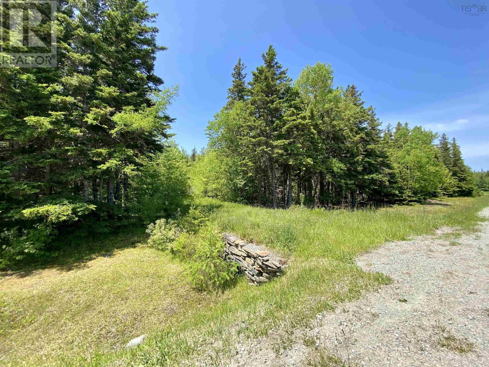 Acerage Highway 19 Property Photo 11