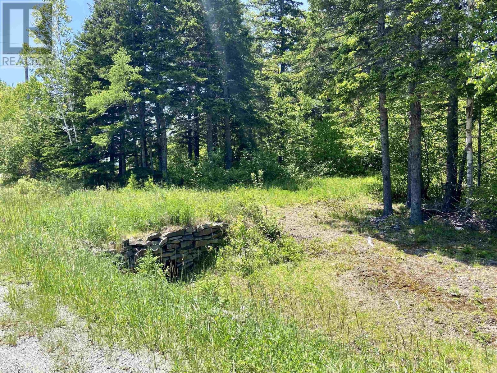 Acerage Highway 19 Property Photo 12