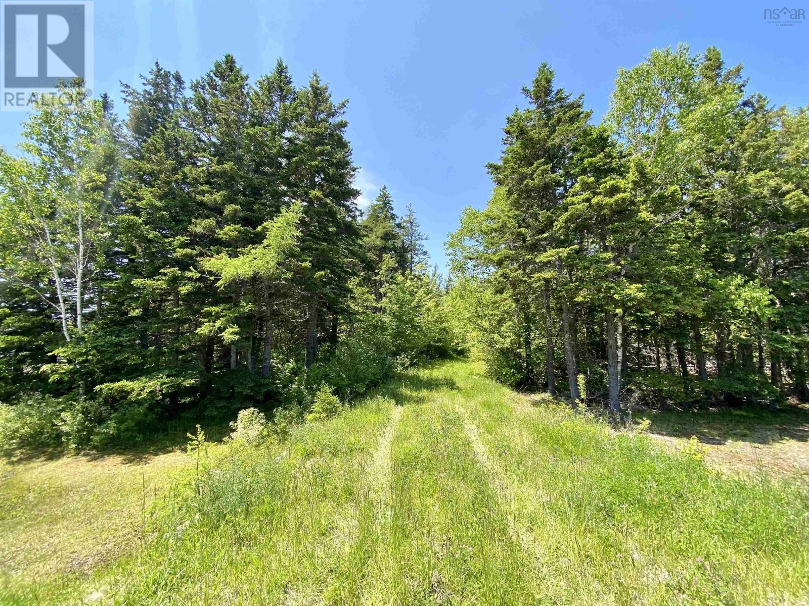 Acerage Highway 19 Property Photo 13