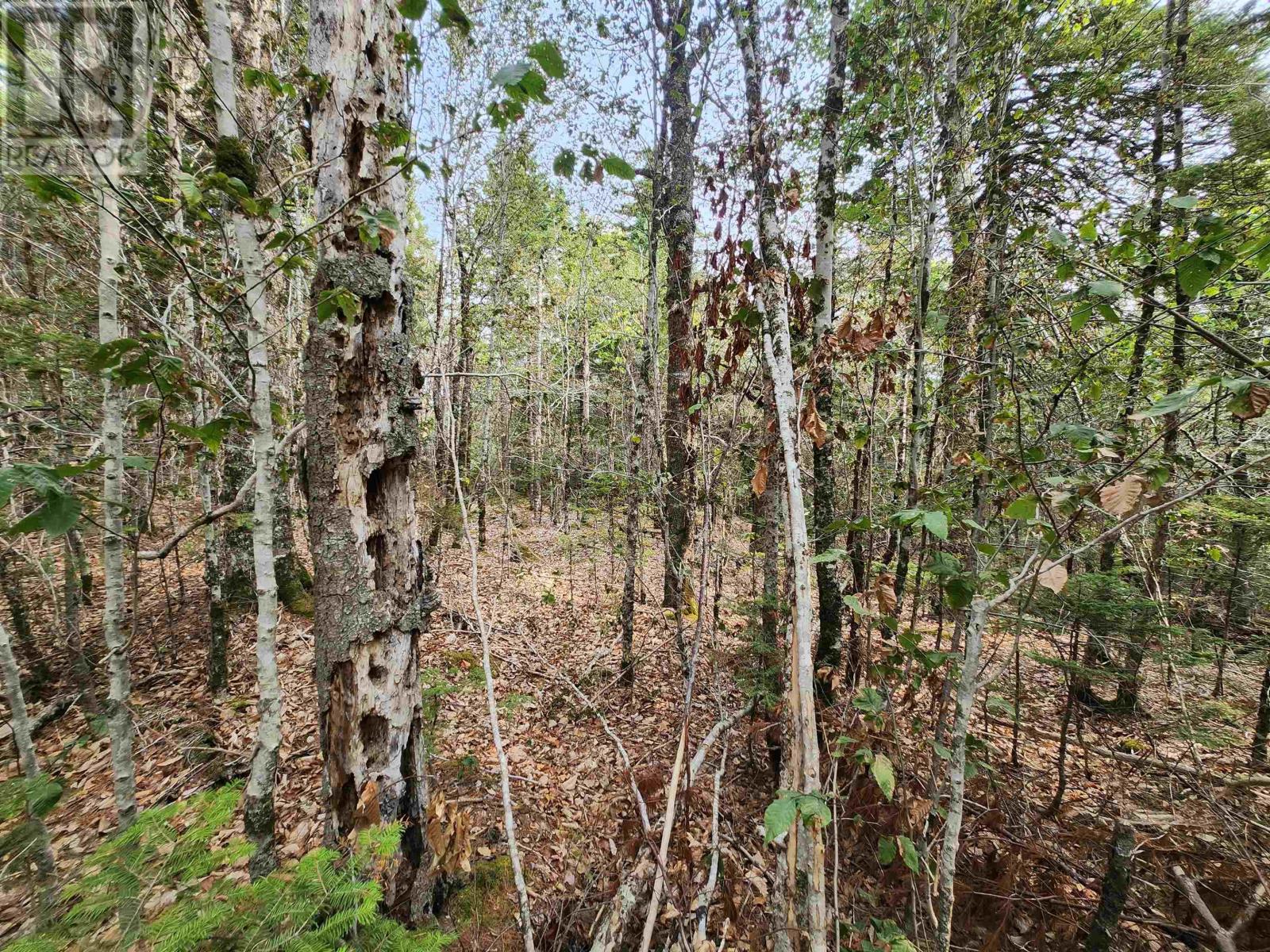 Lot 69 Turner Point Crossover Property Photo 4