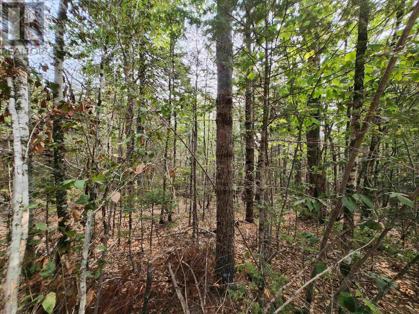 Lot 69 Turner Point Crossover Property Photo 5