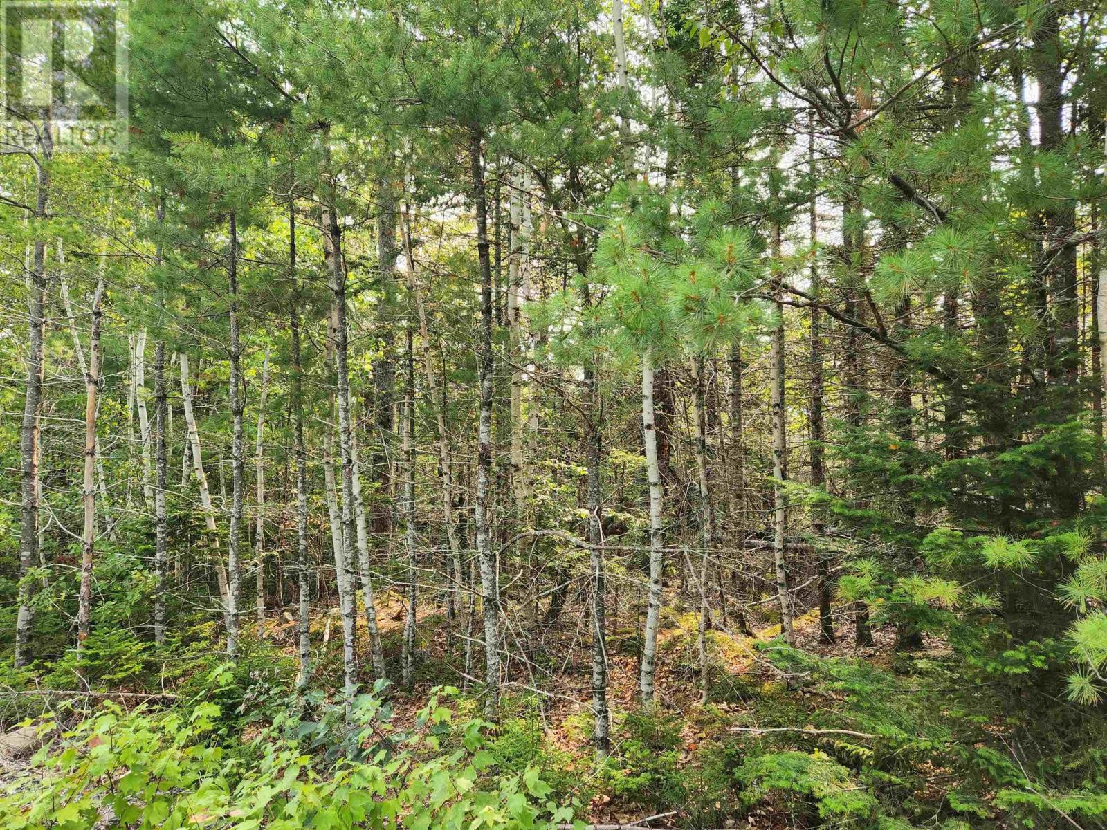 Lot 70 Turner Point Crossover Property Photo 3