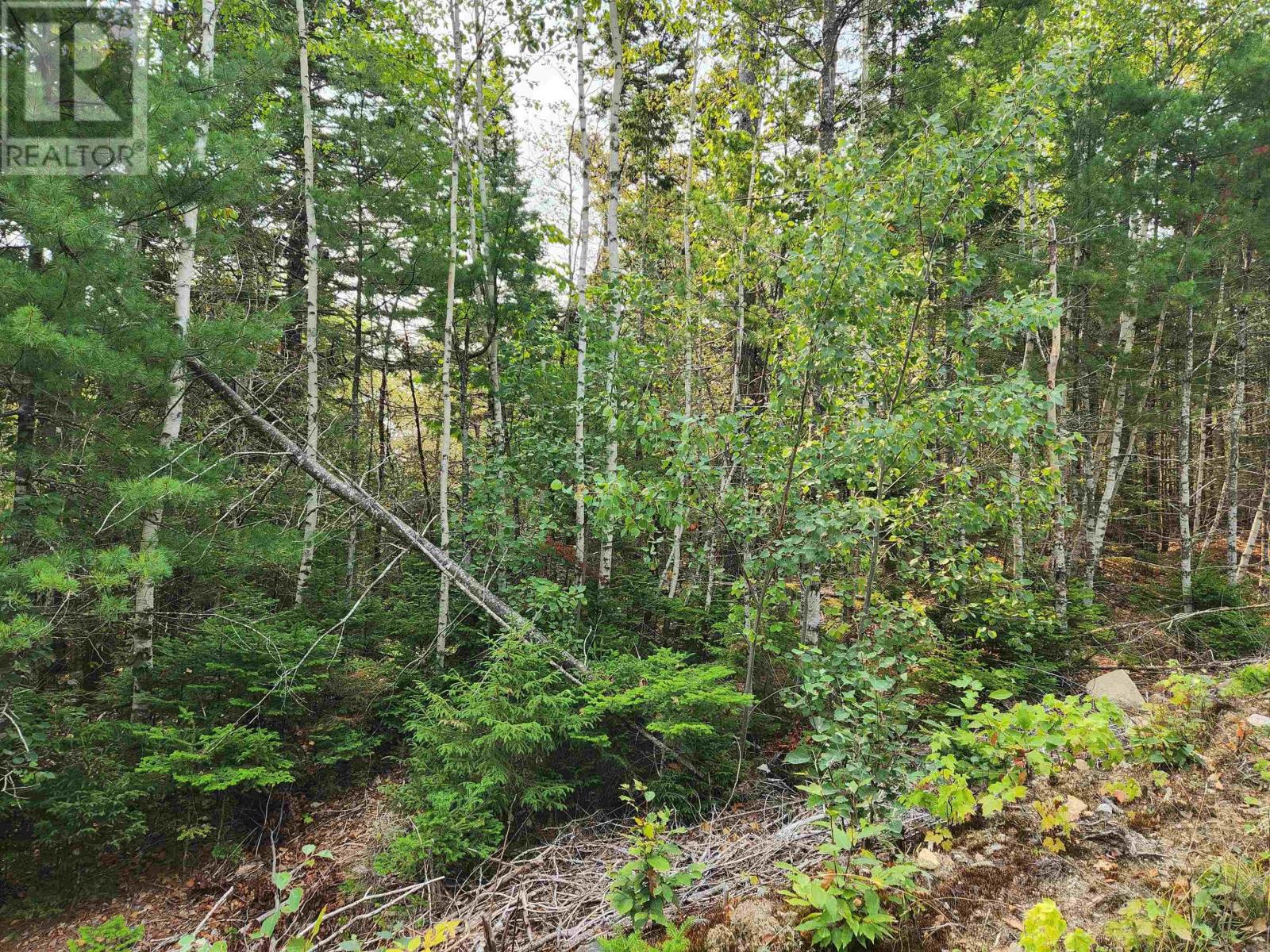 Lot 70 Turner Point Crossover Property Photo 4