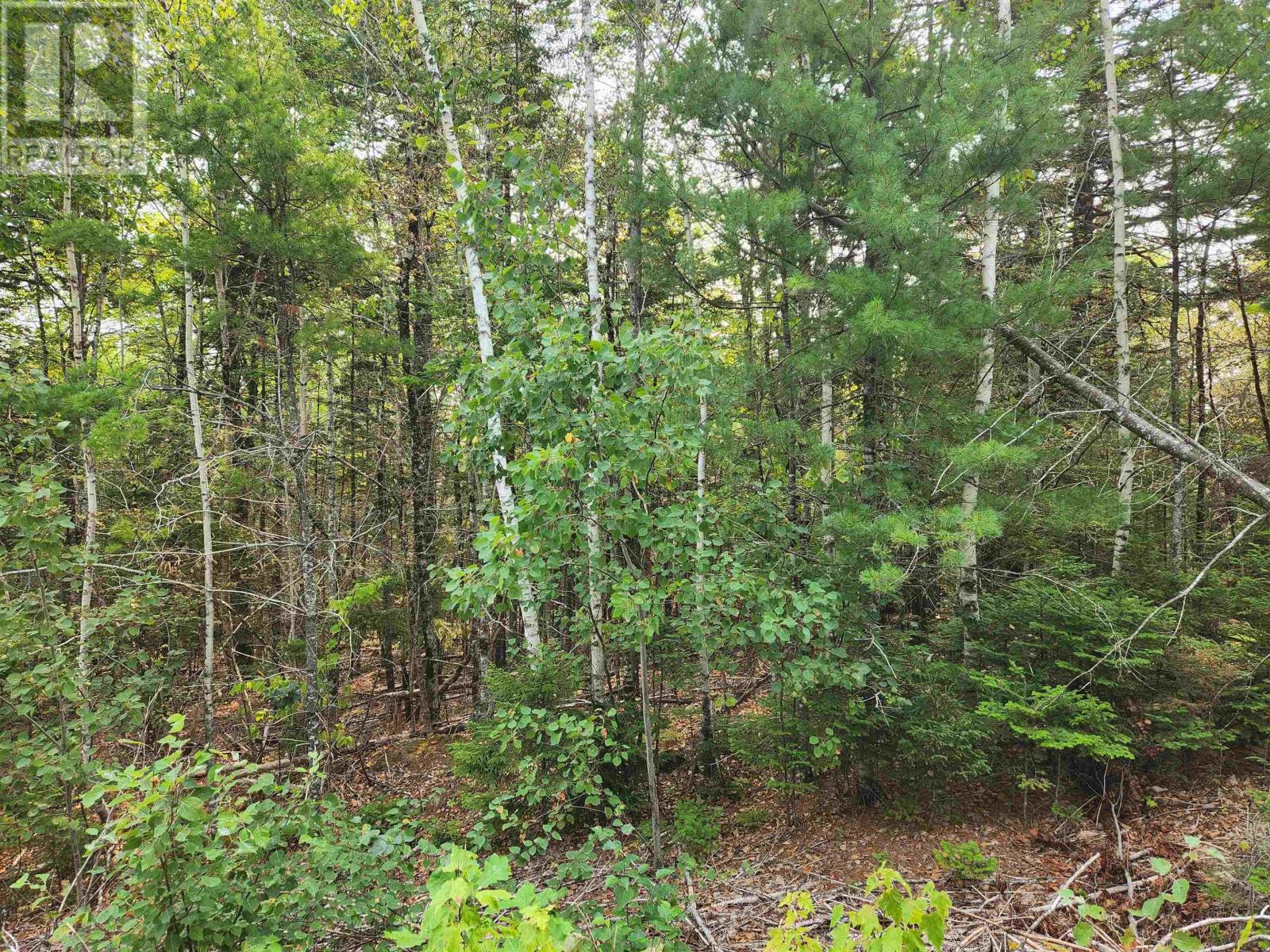 Lot 70 Turner Point Crossover Property Photo 5