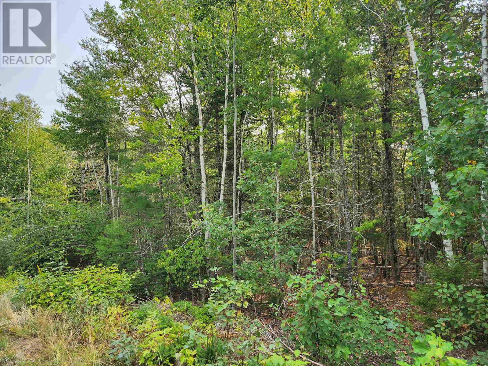 Lot 70 Turner Point Crossover Property Photo 6