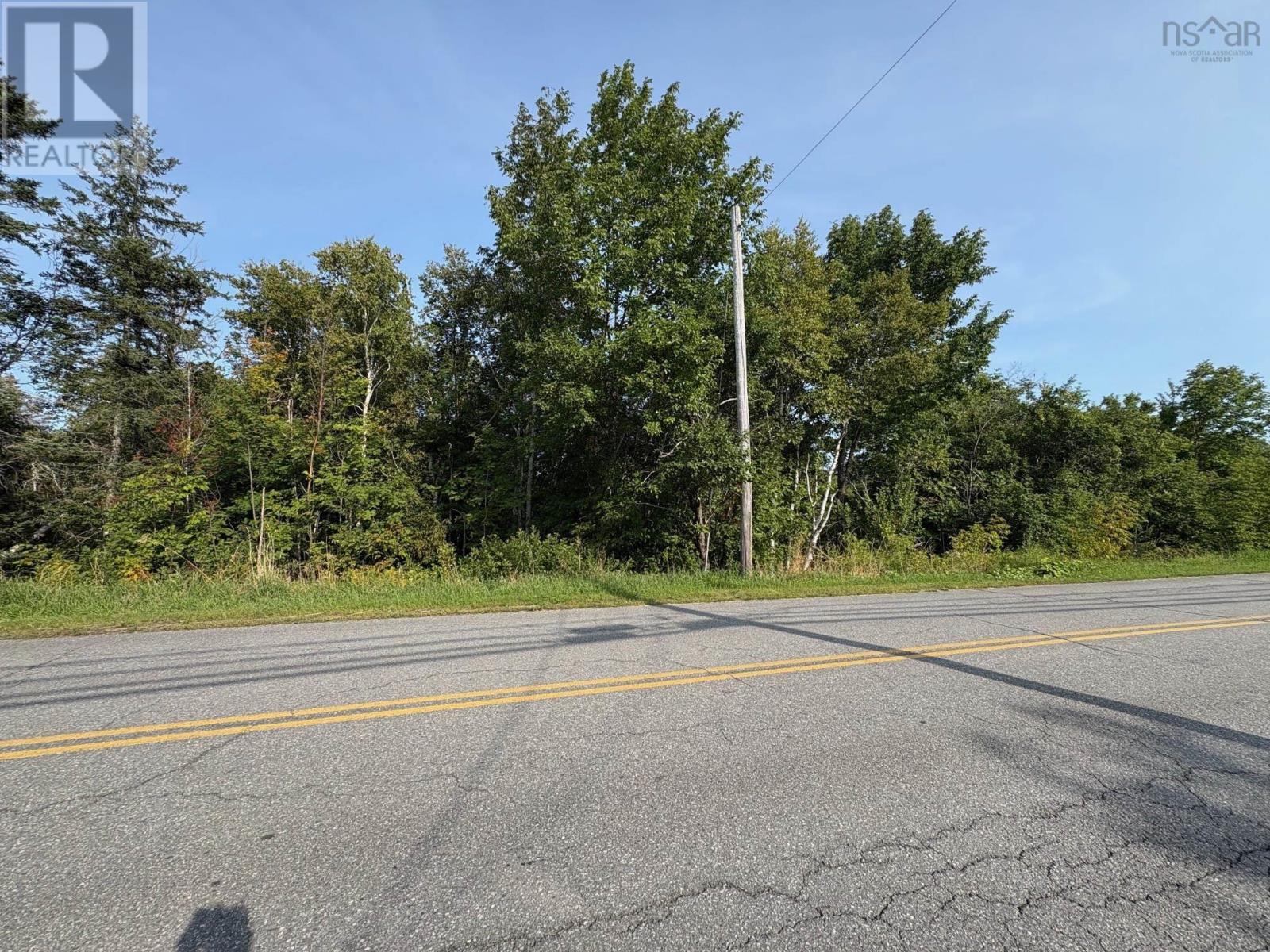 Thorburn Road Property Photo 3