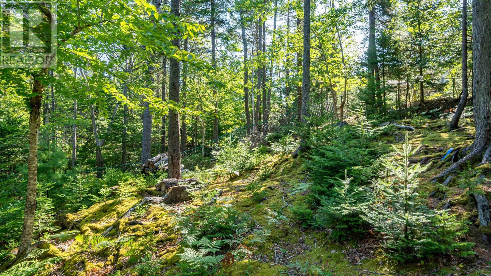 17 Oakley Avenue Property Photo 47