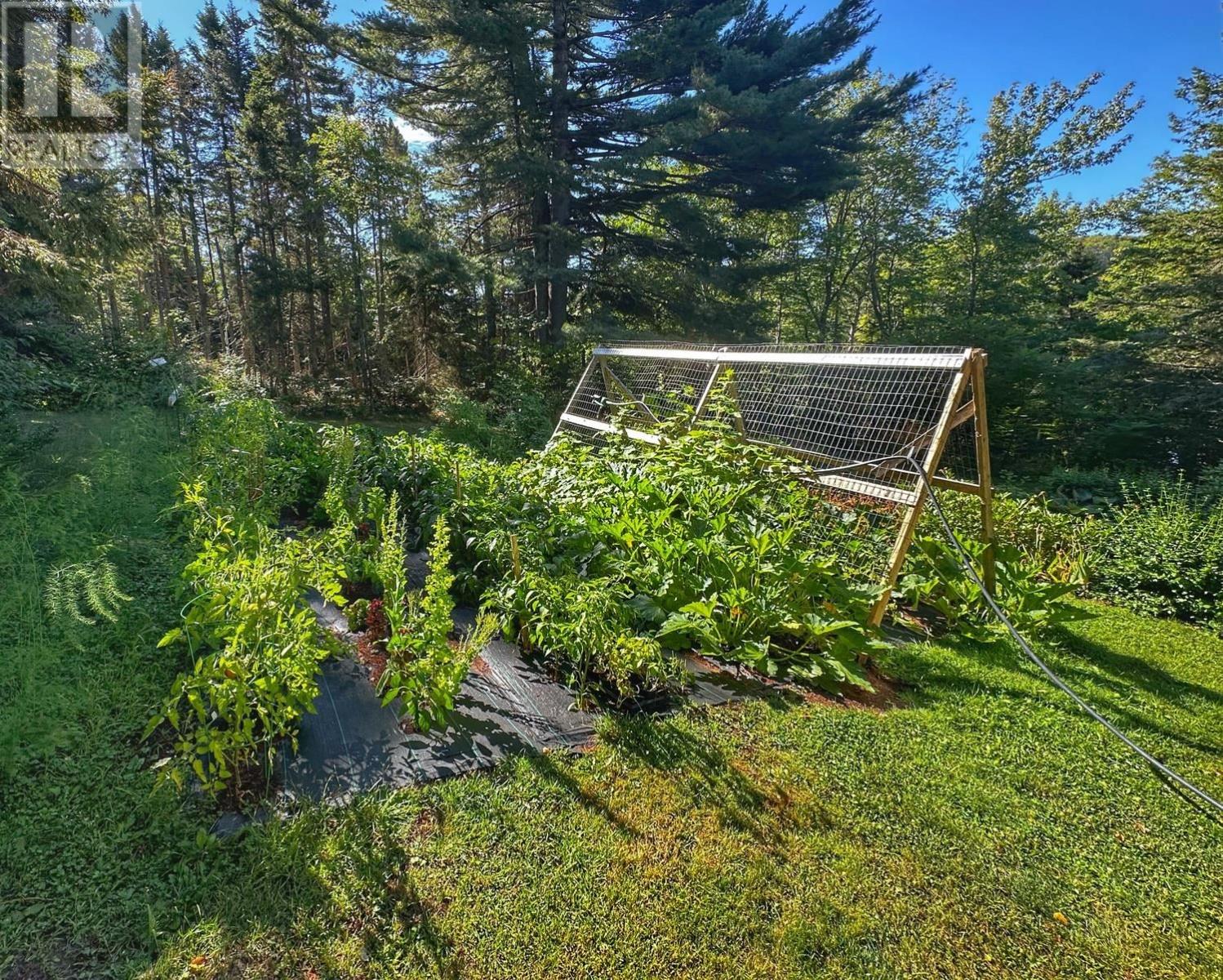 2159 Trout River Road Property Photo 23
